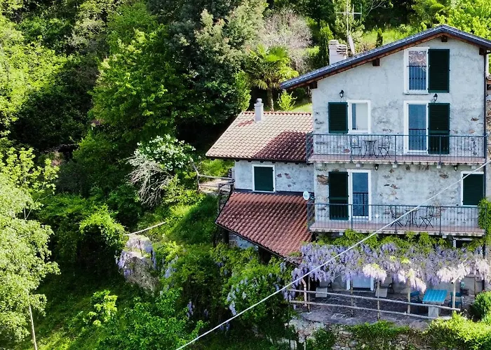 Mamo By Interhome Apartment